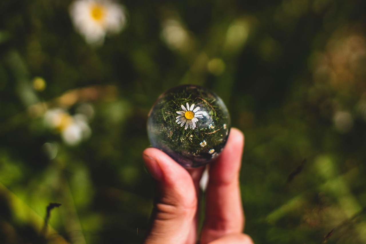 bokeh, flower wallpaper, acrylic, glass, globe, ball, daisy, flower, floral, natural, nature, colorful, color, texture, creative, spectrum, flower background, beautiful flowers, crystal, vibrant, vivid, pastel, multicolor, green, blurred, blur, 3d, artwork