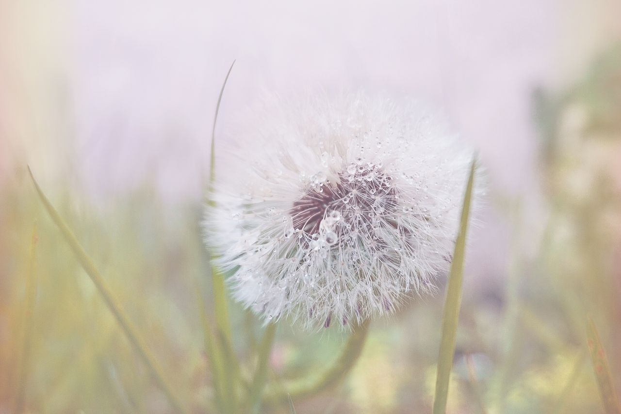 Un échange attentif avant un accompagnement personnalisé